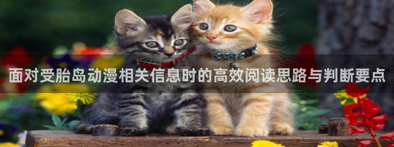 风车动漫在线