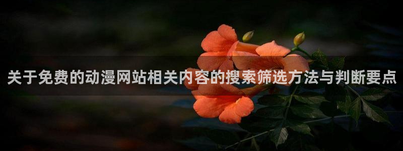 片子动漫推荐
