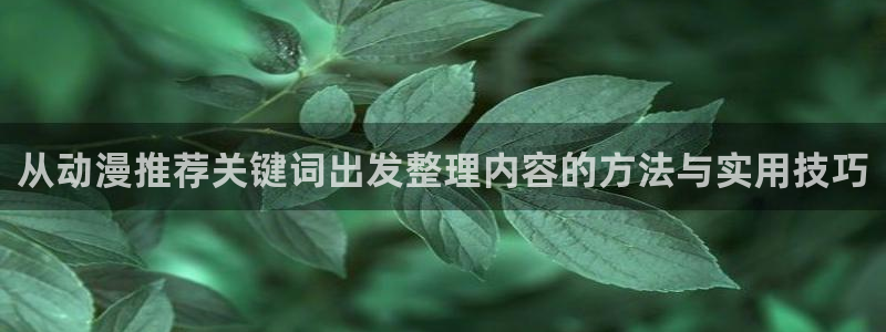 挖掘机动画片儿童动画片