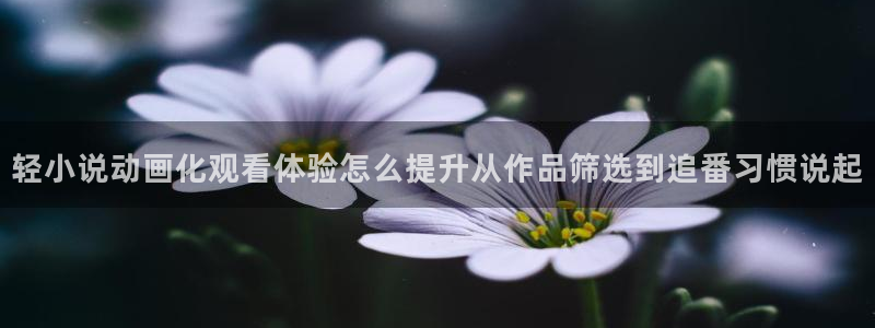 动漫之家官网入口：轻小说动画化观看体验怎么提升从作品筛选到追番习惯说起