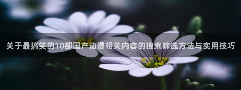 二次元动漫免费网站：关于最搞笑的10部国产动漫相关内容的搜索筛选方法与实用技巧
