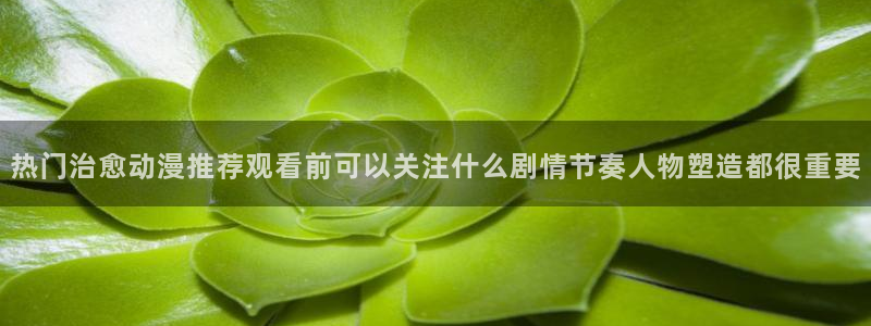波兰球动画：热门治愈动漫推荐观看前可以关注什么剧情节奏人物塑造都很重要