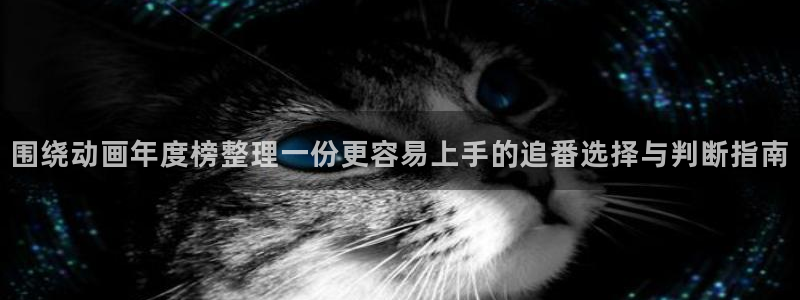 10count动漫:围绕动画年度榜整理一份更容易上手的追番选择与判断指南