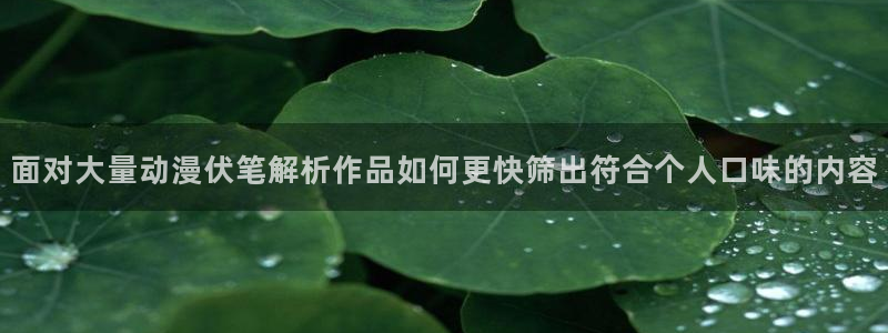 最新动漫推荐:面对大量动漫伏笔解析作品如何更快筛出符合个人口味的内容